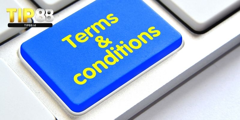 Sơ lược về điều khoản và điều kiện 