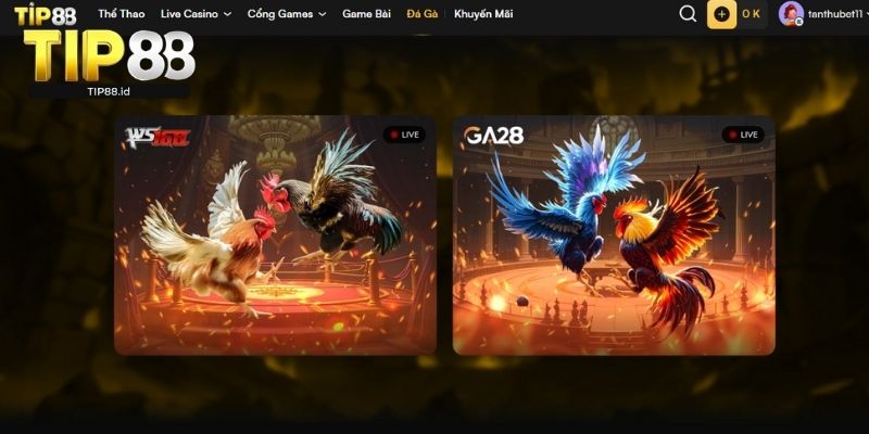 Thông tin sảnh cược đá gà Tip88
